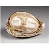 Image 3 : Stockmens Convention Souvenir Shell,