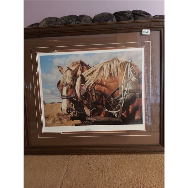 Ducks Unlimited "Home Quarter"