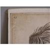 Image 2 : Early engraving of a Raphael cherub c1784