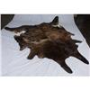 Image 1 : BRINDLE COW HIDE