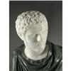 Image 2 : ITALIAN MARBLE STATUE BUST EMPORER CARACALLA