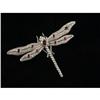 Image 1 : RUBY AND DIAMOND 18K WHITE GOLD DRAGONFLY BROOCH