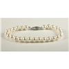 Image 1 : CULTURED PEARL BRACELET WITH 14K WHITE GOLD CLASP