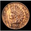 Image 2 : 1903 Indian Cent 1c Grades Select Unc BN