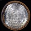 Image 3 : ***Auction Highlight*** Full solid date 1885-o Uncirculated Morgan silver dollar roll, 20 coins (fc)