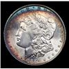 Image 2 : ***Auction Highlight*** 1886-p vam 6B I2 R5 Morgan Dollar $1 Graded ms67 By SEGS (fc)