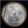 Image 3 : ***Auction Highlight*** 1886-p vam 6B R5 Morgan Dollar $1 Graded ms67 By SEGS (fc)