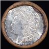 Image 2 : ***Auction Highlight*** Full solid date 1921-p Morgan silver $1 roll, 20 coins (fc)