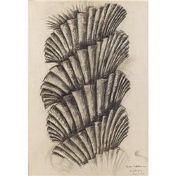 Carel Visser Graphite on paper Hortus Botanicus