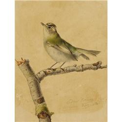 Esther Corbon Ink and watercolor on paper