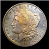 Image 2 : 1886-p Morgan Dollar $1 Grades Choice+ Unc