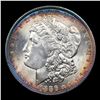 Image 2 : ***Auction Highlight*** 1886-p vam 6b I2 R5 Morgan Dollar $1 Graded ms66+ By SEGS (fc)