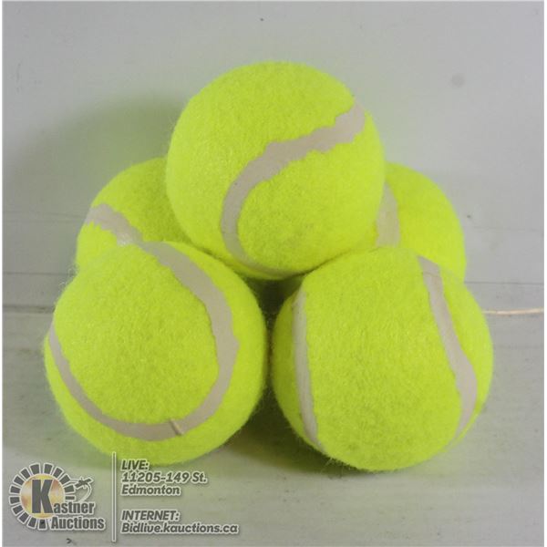 5 PACK OF LARGE TENNIS BALLS FOR DOGS