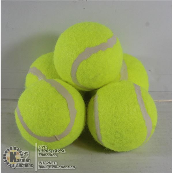 5 PACK OF LARGE TENNIS BALLS FOR DOGS
