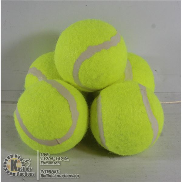 5 PACK OF LARGE TENNIS BALLS FOR DOGS