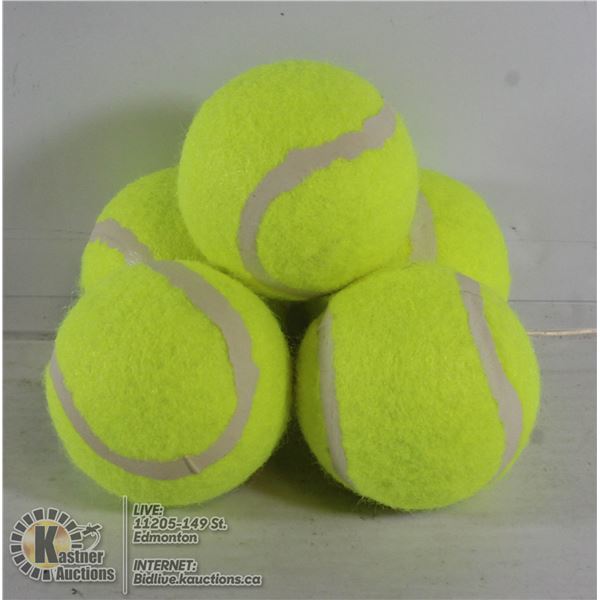 5 PACK OF LARGE TENNIS BALLS FOR DOGS