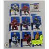 Image 1 : NHL 9 CARD SP BLUE VARIATION LOT