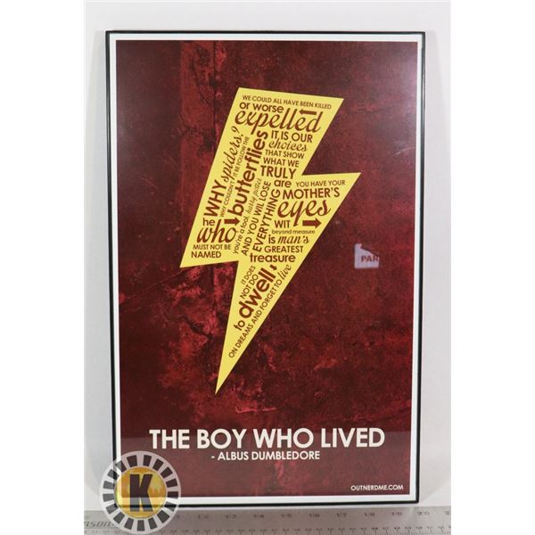 FRAMED HARRY POTTER POSTER