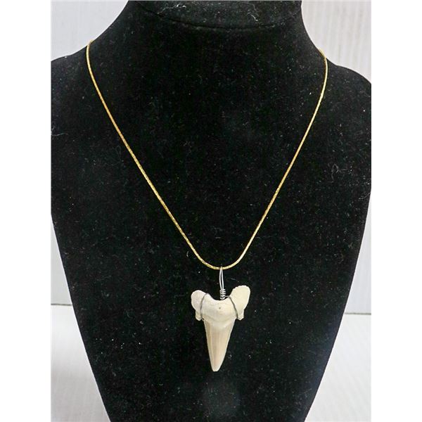 SHARKS TOOTH PENDANT WITH GOLD TONED NECKLACE