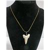 Image 1 : SHARKS TOOTH PENDANT WITH GOLD TONED NECKLACE