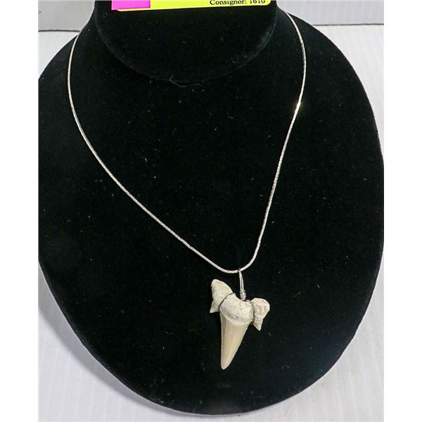 SHARKS TOOTH PENDANT WITH SILVER TONED CHAIN