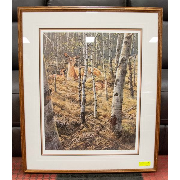 JOHN SEEREY- LESTER - WHITE TAIL SPRING