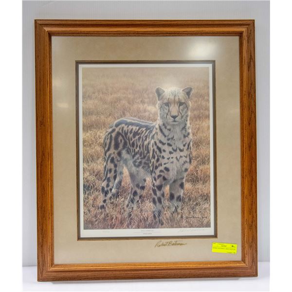 ROBERT BATEMAN - KING CHEETAH