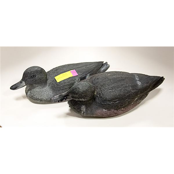 PAIR OF DUCK DECOYS