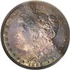 Image 1 : 1896 $1 PR66 NGC