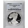Image 3 : 1995-W[S$1] Silver Eagle PR69 Deep Cameo PCGS. A magnif