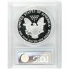 Image 4 : 1995-W[S$1] Silver Eagle PR69 Deep Cameo PCGS. A magnif