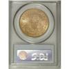 Image 2 : 1876-S $20 MS61 PCGS