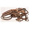 Image 3 : Collection of (13) Spanish Colonial Horse Bits
