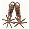 Image 2 : Mexican Chihuahua Spurs
