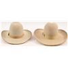 Image 2 : (2) Stetson Hats