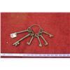 Image 1 : Iron Skeleton Keys