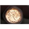 Image 2 : 1 Cent Canadian Roll Mint - 2011 Magnetic