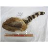Image 1 : Vintage Raccoon Skin Hat