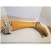 Image 3 : VINTAGE RUBBER PROSTHETIC LEG
