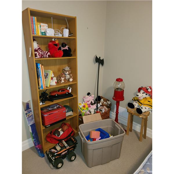 Bookcase & more Cat C