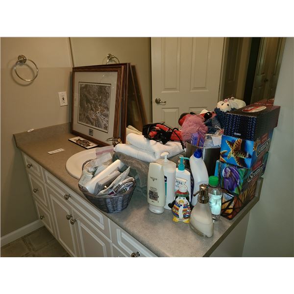 Framed Art and bathroom supplies Cat-B