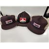 Image 1 : Lot of 3 Vintage Petro Canada Snapback Hats
