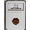 Image 1 : 1893 1C Red and Brown PR64 NGC