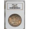 Image 1 : 1881-S $1 MS65 NGC