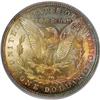 Image 2 : 1885 $1 MS64 PCGS