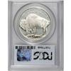 Image 2 : 2001-P $1 Buffalo Silver Dollar Deep Cameo PR69 PCGS