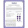 Image 2 : Genuine 6 ctw Amethyst Earrings 14KT White Gold - REF-66X9M