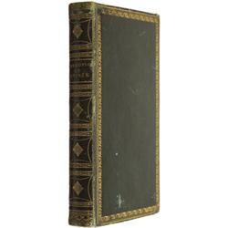 The First Texian Novel: Ambrosio de Letinez