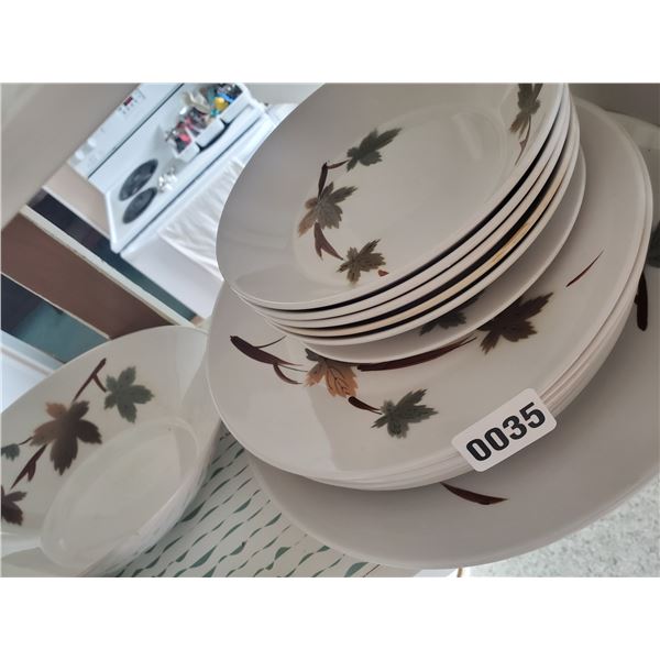 Matching Serving Bowl, Serving Plate, Regular Plates + Shallow Bowls