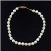 Image 1 : PEARL BRACELET WITH 14K GOLD SAFETY CLASP,